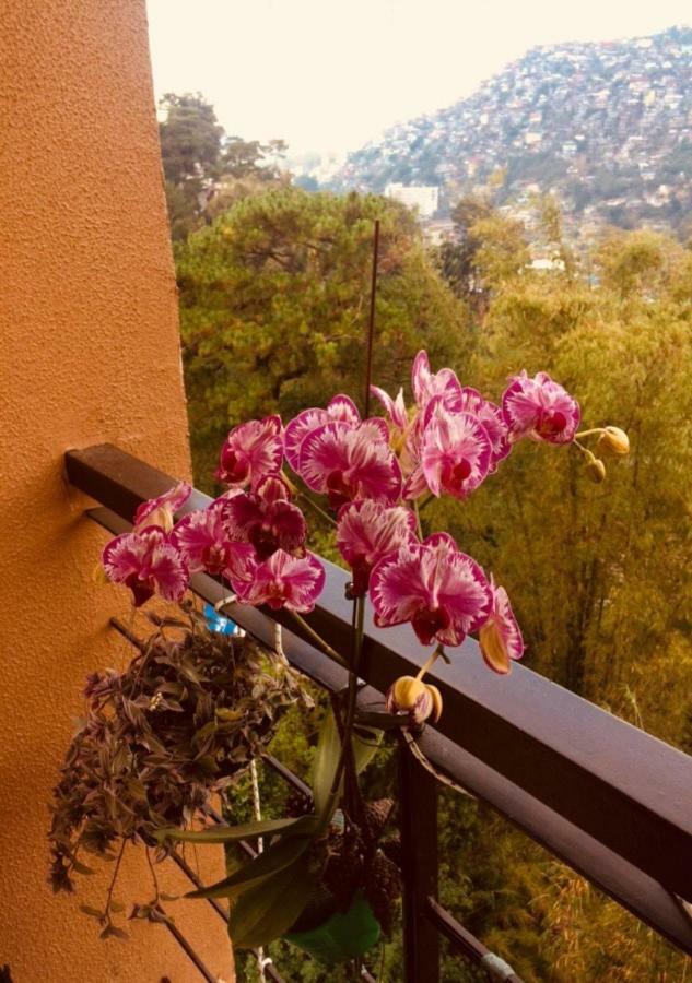 Courtyards Peak-Corner Pinestay - At Goshenland Baguio Baguio City Exterior photo